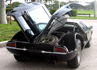 Illustration for article titled For $88,500, Me Gusta Mangusta